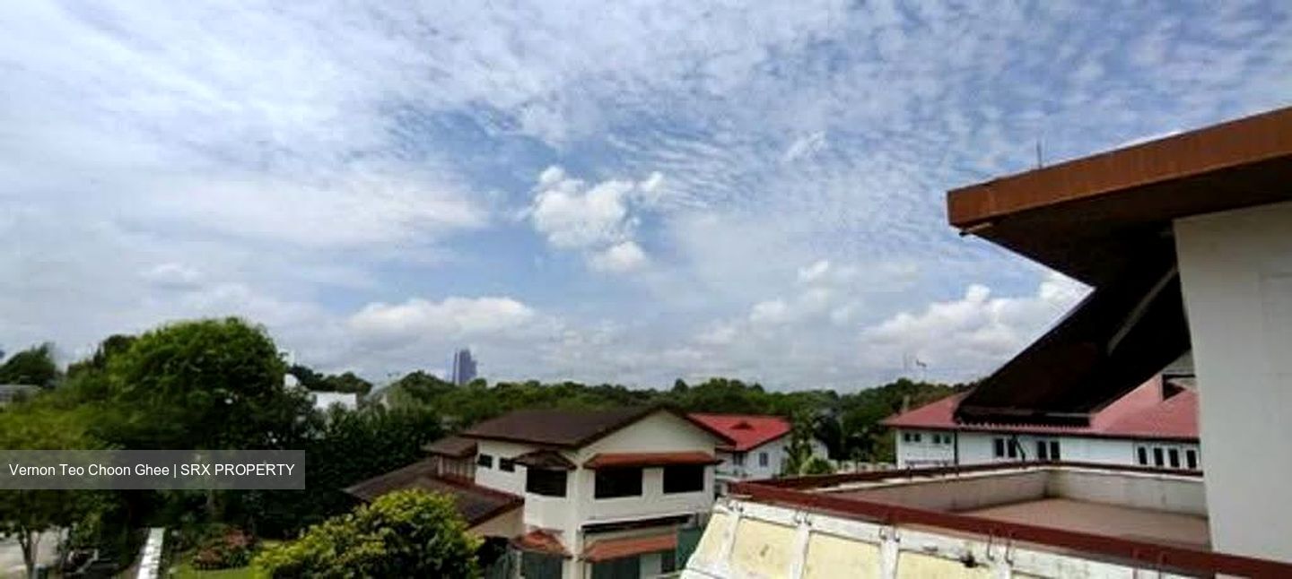Leedon Park (D10), Detached #619483821